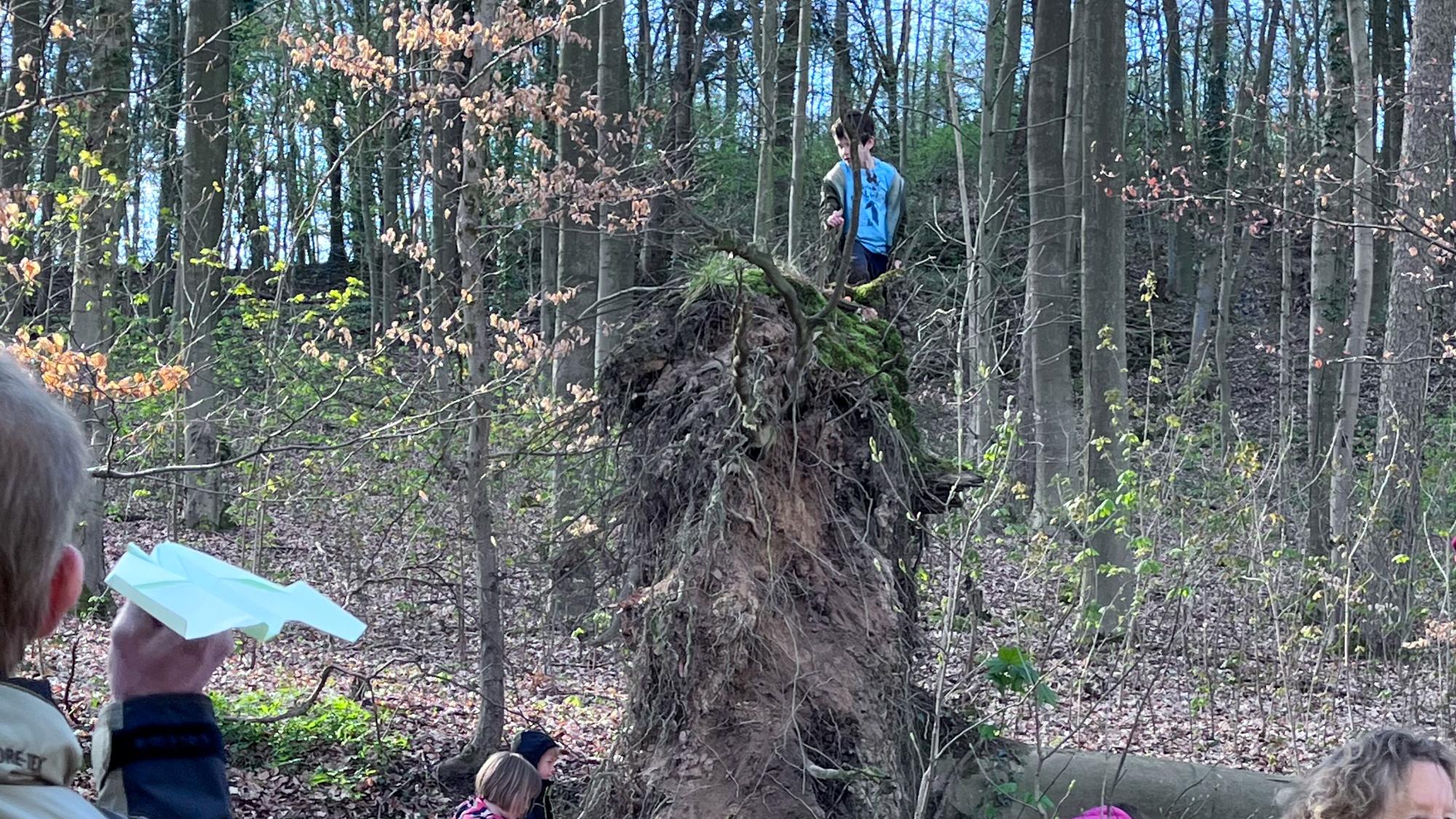 Großväter-Enkel Wald